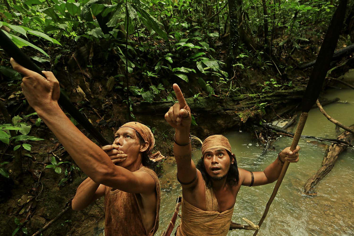 Dayaks