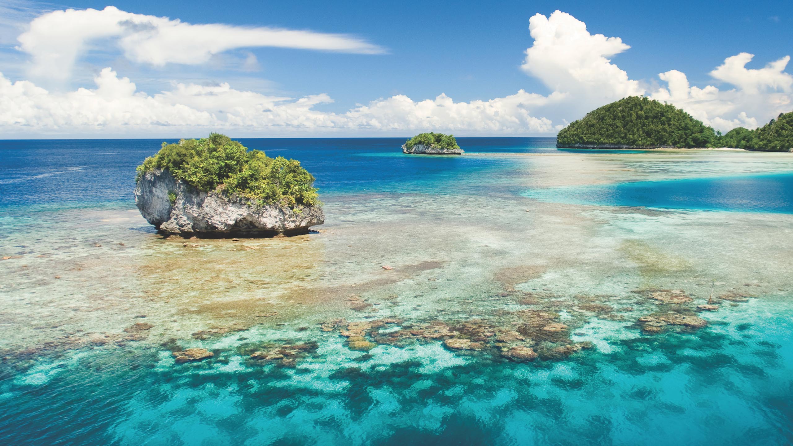 Le House Reef : *votre jardin quotidien*