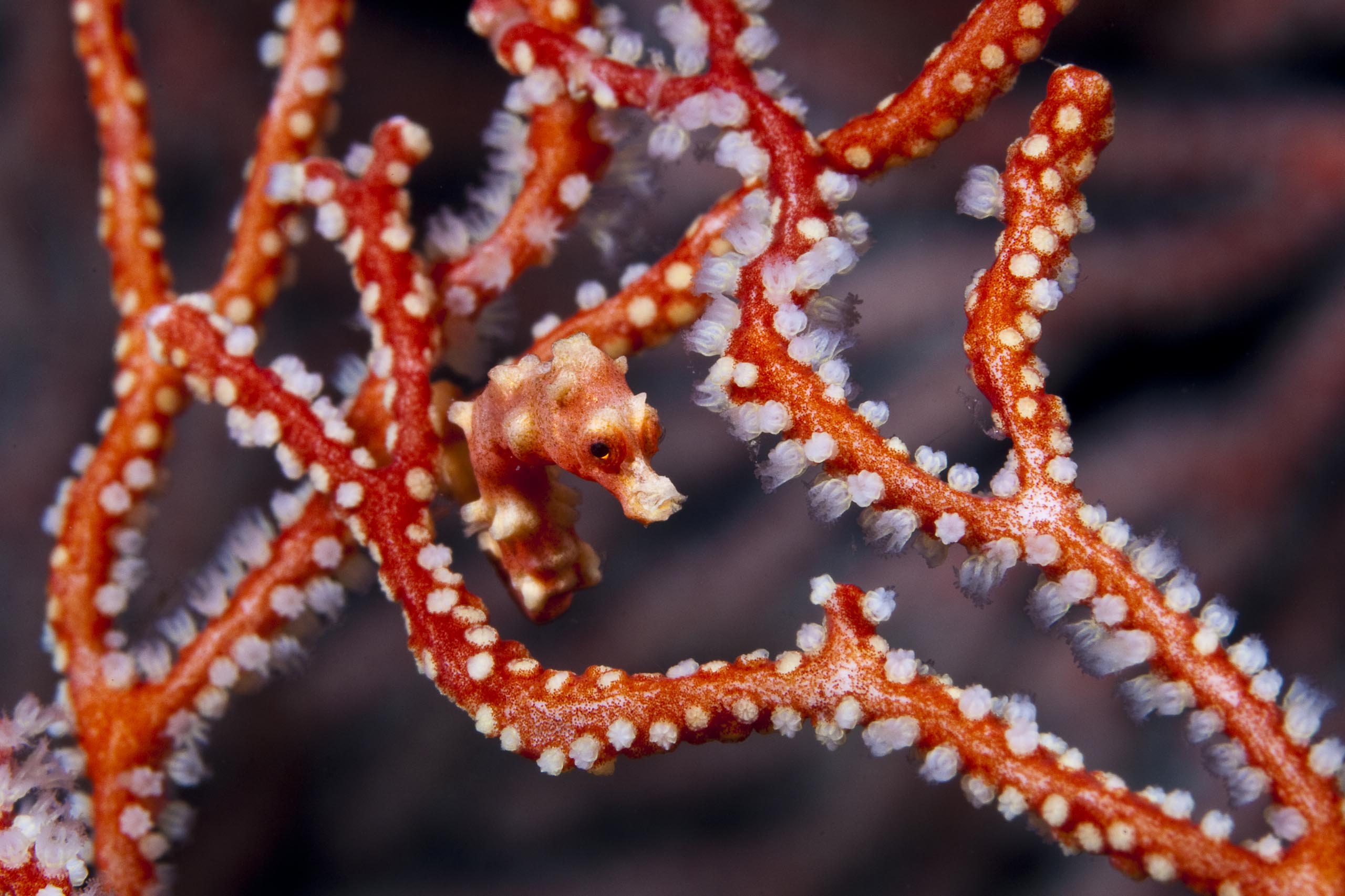 Les rencontres marines : ce que la mer garde en réserve