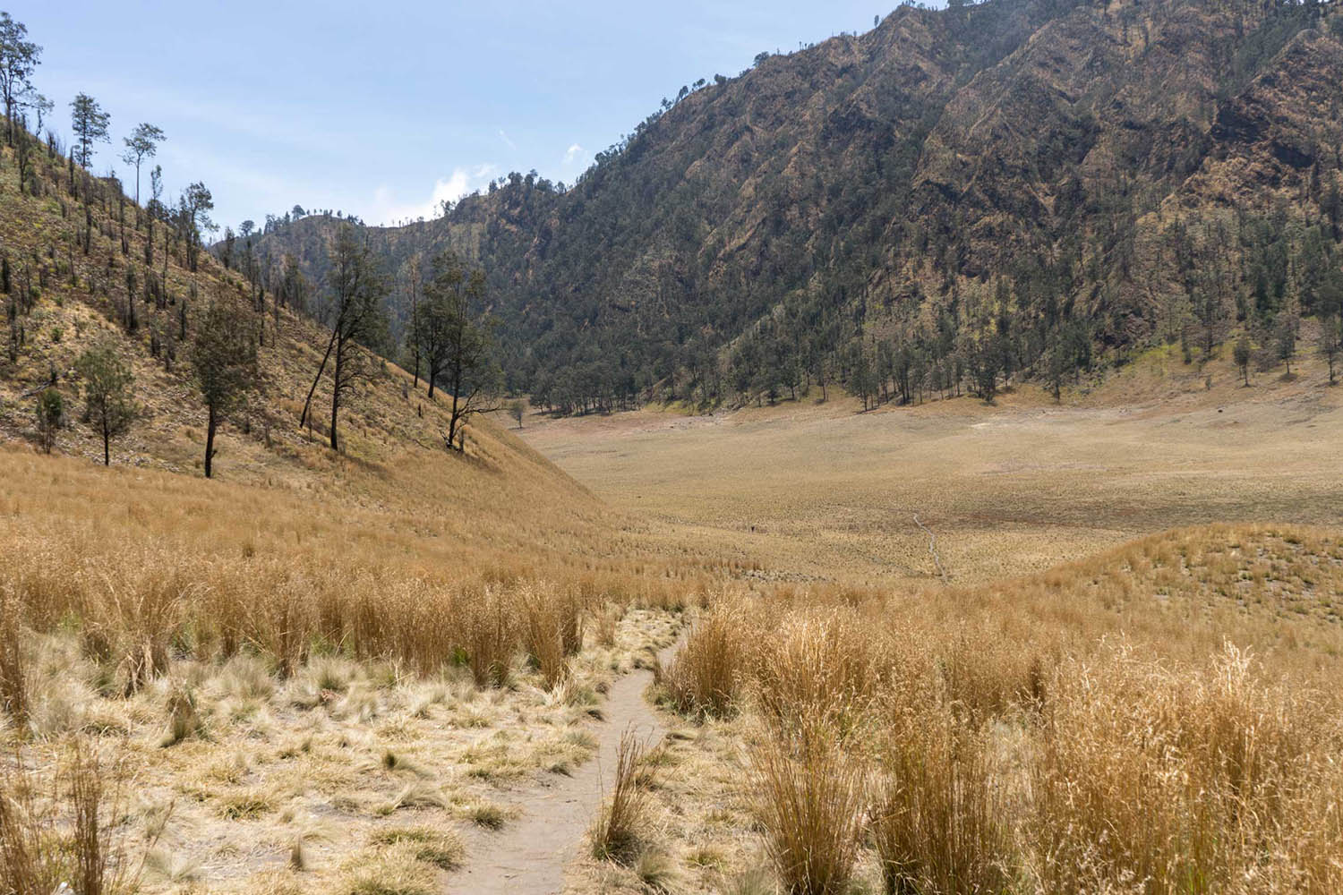 Bromo