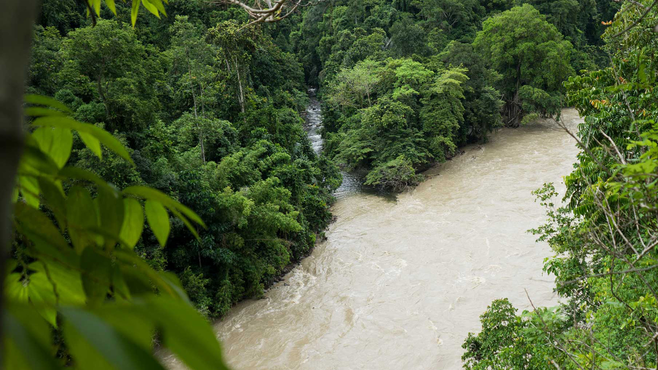 Rivière Lindu en Sulawesi
