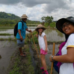 Enfant dans les rizières à Bali