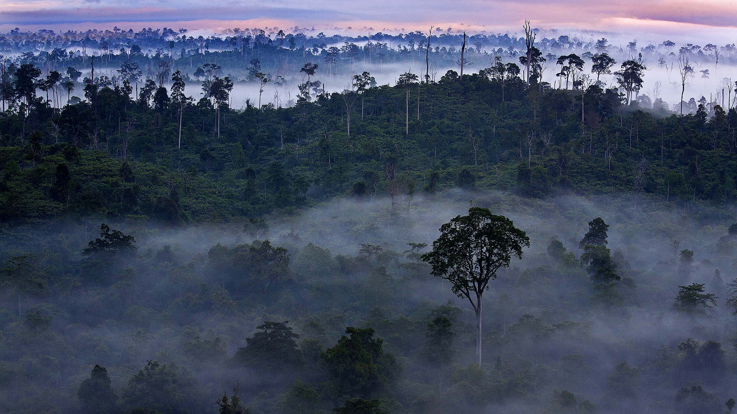 Une nature sauvage *à couper le souffle*