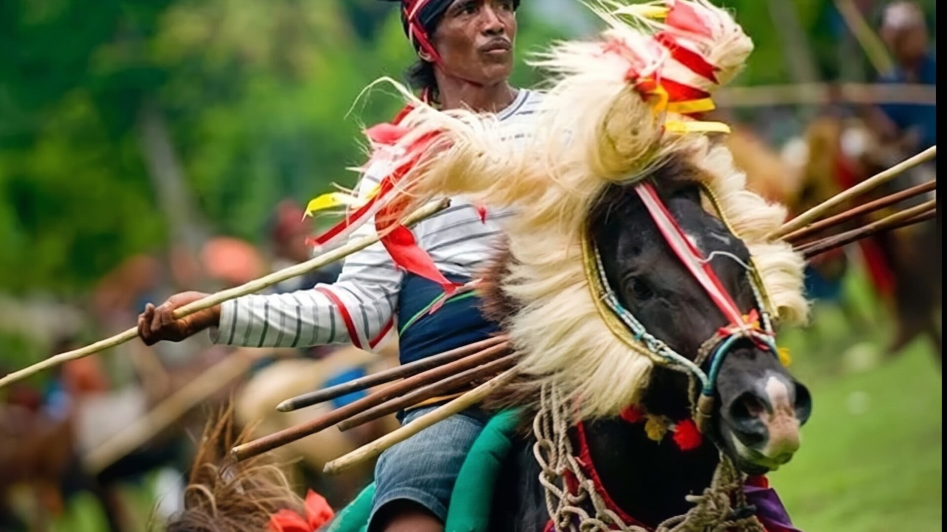 Cavalier lors du Pasola à Sumba