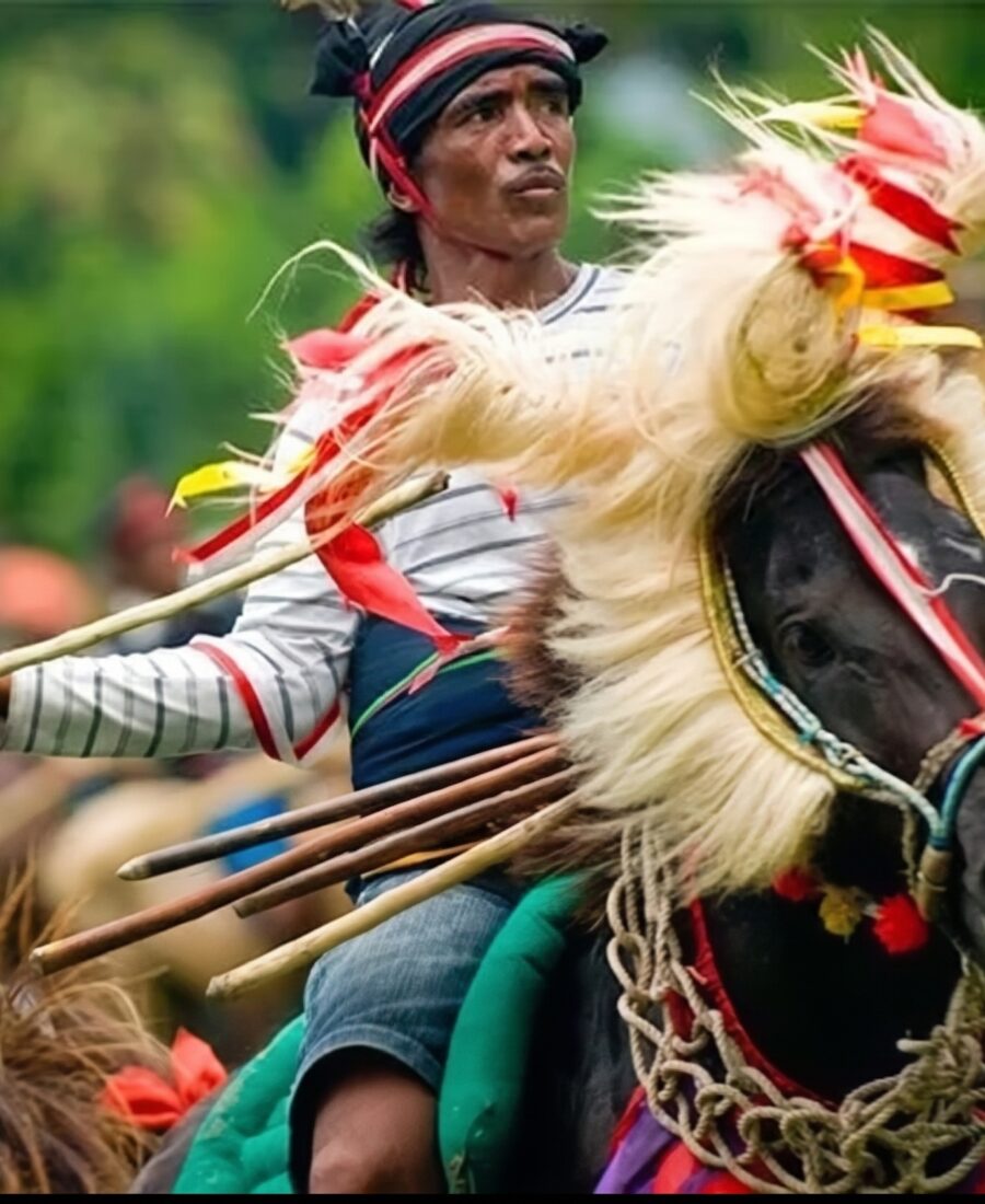 Une culture vivante – *Pasola, traditions ikat et rituels Marapu*