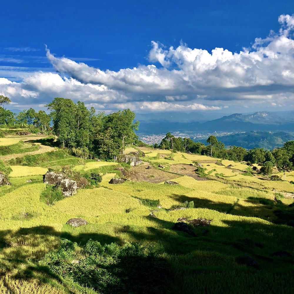 Trek, volcans & natures sauvages