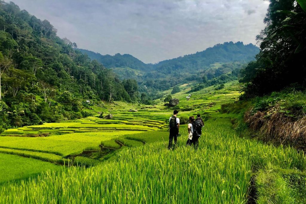 Mandara éco-tourisme