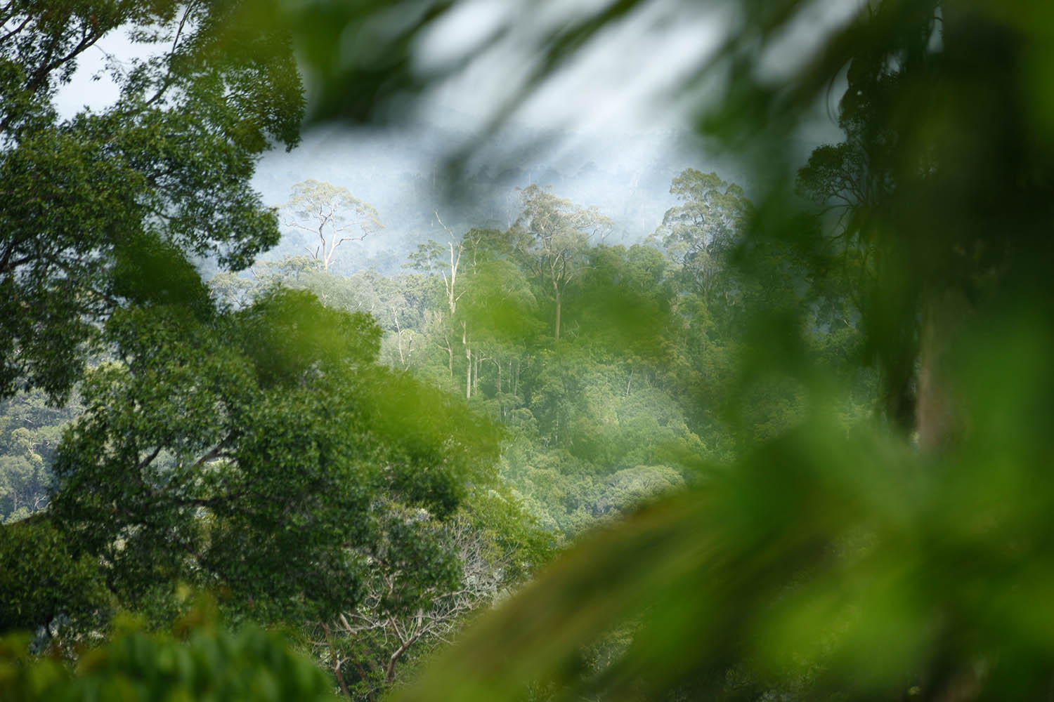 Paysage d'Indonésie