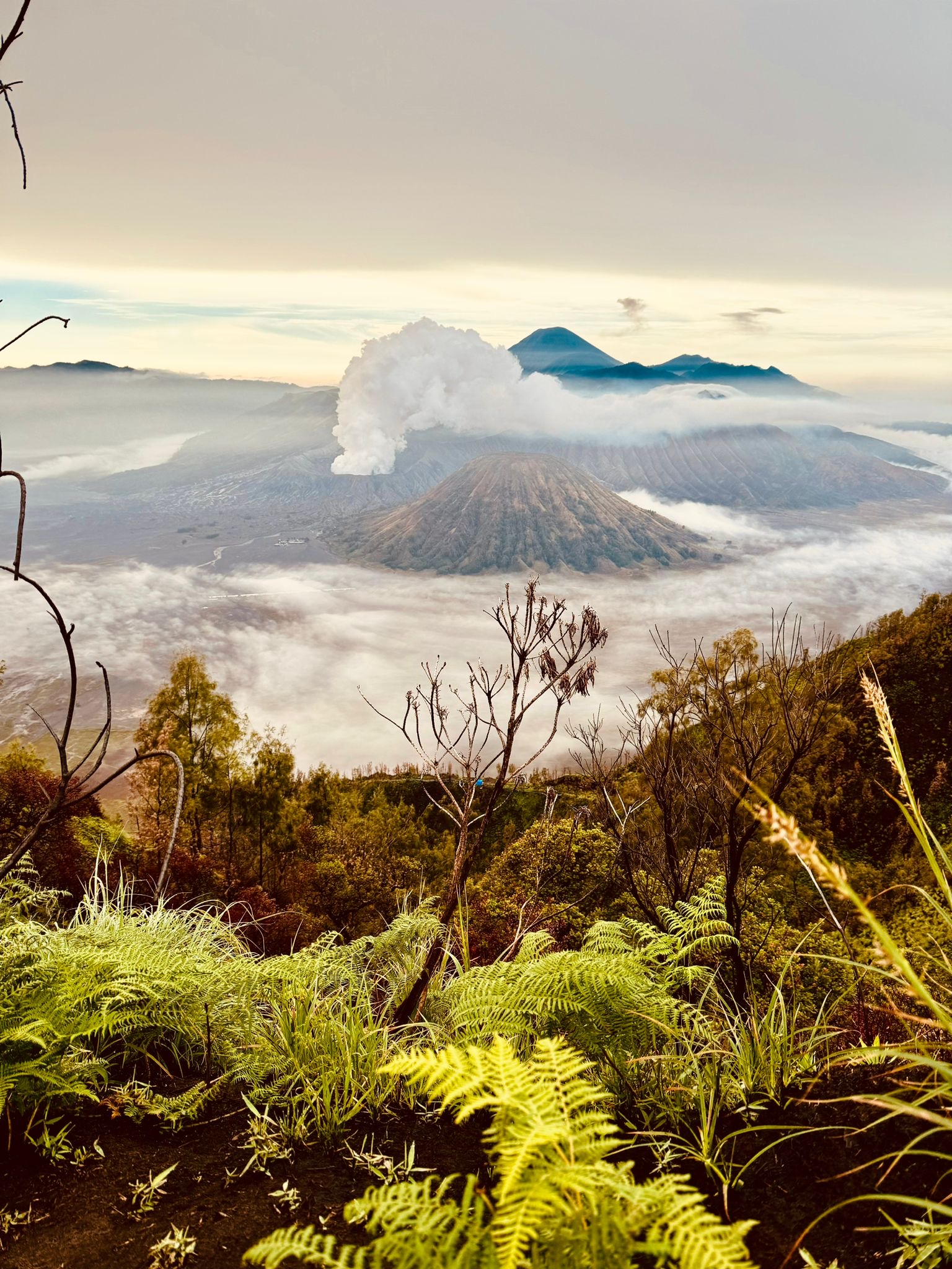 Bromo